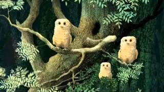 Owl Babies Picture Book Animation - YouTube  featured image